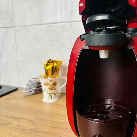 Mazurski Azyl 公寓 *